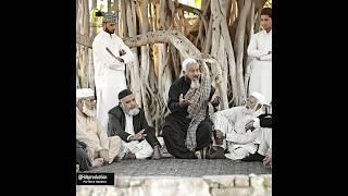 Gham Tere Menu Son Nai Dende - Qadeer Ahmed Butt - Kalam Mian Muhammad Baksh #youtubeshorts