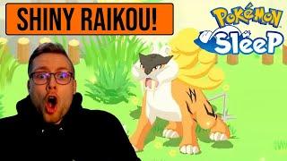 How I Found A 1st Encounter SHINY RAIKOU in Pokémon Sleep!