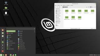 Linux Mint 20.3 Cinamon - первые впечатления и проблемы!