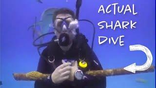 SHARK DIVE that actually happened with Stanley of the Seas.  This is 100% real.