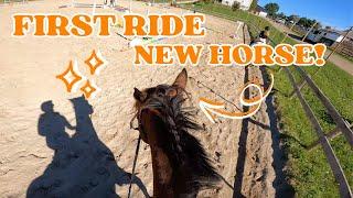 FIRST RIDE ON A NEW HORSE | GoPro Horse riding Lesson