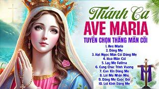 Thánh Ca Ave Maria Dâng Mẹ Mân Côi Đặc Biệt 2024 | Tuyển Tập 40 Ca Khúc Hay Nhất Về Đức Mẹ