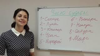 Как рассчитать число судьбы