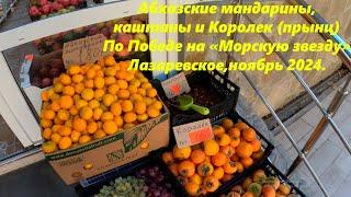 Абхазские мандарины,каштаны и Прынц!  По Победе на Морскую звезду Ноябрь 24ЛАЗАРЕВСКОЕ СЕГОДНЯСОЧИ