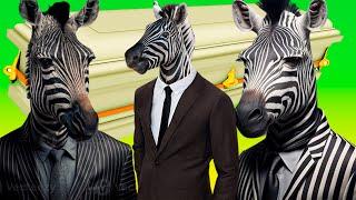 Funny Zebra - Coffin Dance Song*PART 2*(COVER)