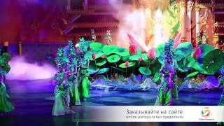 Сolosseum Show Pattaya