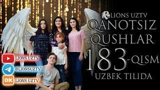 QANOTSIZ QUSHLAR 183 QISM TURK SERIALI UZBEK TILIDA | КАНОТСИЗ КУШЛАР 183 КИСМ УЗБЕК ТИЛИДА