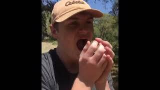 Austin Food Review