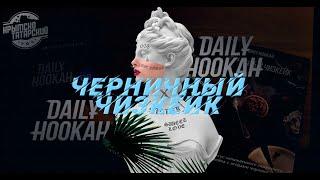 DAILY HOOKAH | ЧЕРНИЧНЫЙ ЧИЗКЕЙК