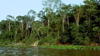 Atravessando o Amazonas