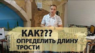 Как подобрать длину трости?