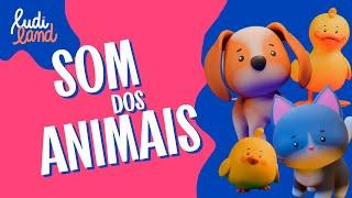 Som dos Animais - Descobrindo e Cantando