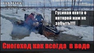 6 гусей на 5 выстрелов. Охота на гусей на тундре. Охота гуси видео. Охота весной на далеком севере.