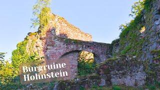 Burgruine Hohnstein / Harz