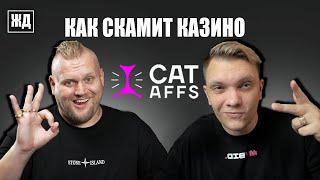 ЖД | CatsAff - переводом игроков, работа со стримерами, шантаж и сплетни! iGaming