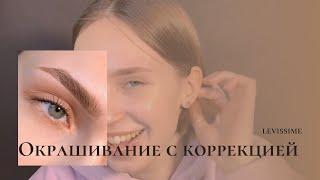 БРОВИ ПИТЕР | Окрашивание бровей краской Levissime