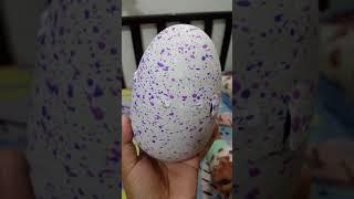 Hatchimal review from Lesya(2)