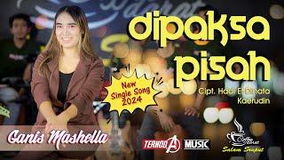 DIPAKSA PISAH  | SINGLE TERBARU 2024  | GANIS MASHELLA | TERNODA MUSIC