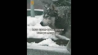 22 февраля 2021 г.