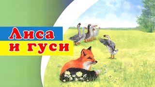 Лиса и гуси - Мультфильм