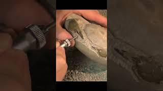 15 hours to free this fossil crab  #shorts #fossil