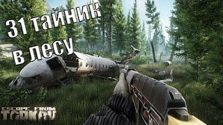 31 ТАЙНИК В ЛЕСУ | Гайд по тайникам | Escape from Tarkov |