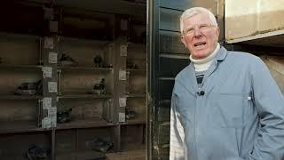 Quick Tips 9: Moving eggs to foster pigeons with Willem de Bruijn (English Subtitles).