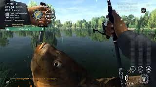 Fishing Planet Jolly Carp Вот так Карп !!!!