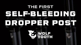 Wolf Tooth Resolve Dropper Post Introduction