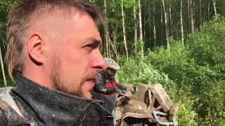 Stels Gepard 800 или РМ 800  что лучше?