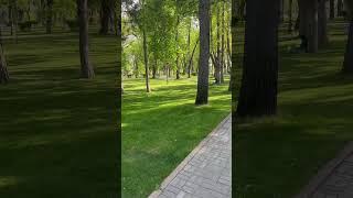 Tashkent #tashkent #toshkent #uzbekistan #videos #recorder #walking #travel #sayohat #yurish #top