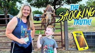 The SHOCKING TRUTH about Junod Acres Homestead!