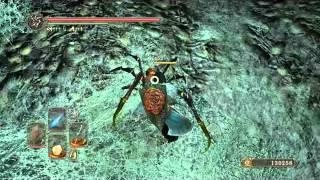 Dark Souls 2 - Бухта Брайтстоун-Тселдора ч.3  - Фрея, Возлюбленная Герцога - нг+2