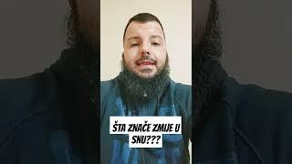 ŠTA ZNAČE ZMIJE U SNU???