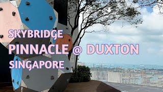 Singapore : Pinnacle @ Duxton Skybridge, Skygarden, Skypark, Sky Bridge, Hidden Gem