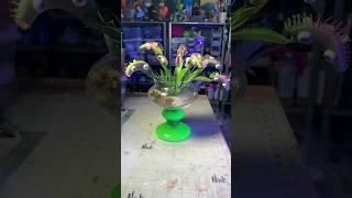 Venus Fly Trap Blob