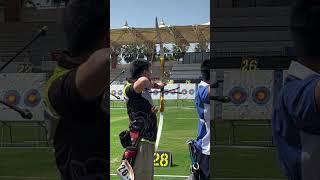 Recurve bow limbs for archers shooting #archery
