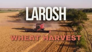 LaRosh Wheat Harvest 2024