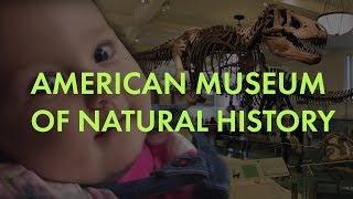 The American Museum of Natural History