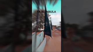 AZADARI GODILA   #azadarinetwork #moharram #alam #ytshorts #youtubeshorts #shorts