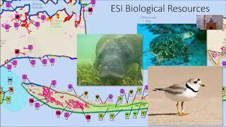 Timyn Rice, Connecting FWC research to response through environmental sensitivity index mapping