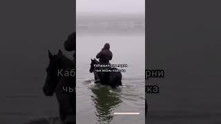 Каждый ваш лайк помогает популяризации Кабардинской породы лошадей️