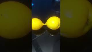 Nipple abiu