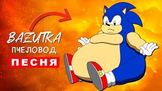 Песня Клип ТОЛСТЫЙ СОНИК Rasa ПЧЕЛОВОД ПАРОДИЯ про соника на русском Анимация sonic