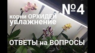 ОРХИДЕЯ в ДОМАШНИХ УСЛОВИЯХ корни орхидеи, увлажнение орхидеи