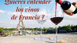 (46) QUIERES ENTENDER LOS VINOS DE FRANCIA ?