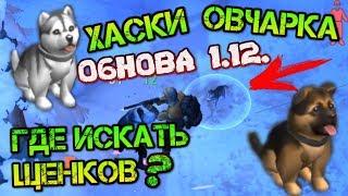 Нашел ХАСКИ и ОВЧАРКУ! Где искать редких щенков после обновы 1.12  Last day on earth: Survival