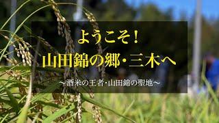 ようこそ山田錦の郷・三木へ(1分)