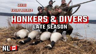 DIVER DUCKS & HUNDREDS OF GEESE ! We Were NOT PREPARED ! LATE SEASON WATERFOWL , CANADA