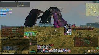 Archeage9.0 Reina 開拓者 アサシン Outrider Shadehunter